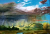 Jackson Hensley Gallery: Image
